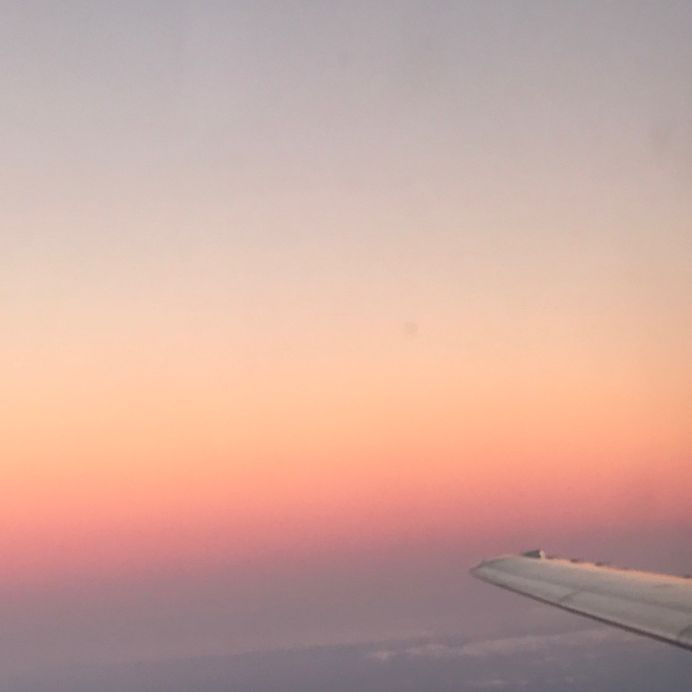 Meet your Posher, Paige